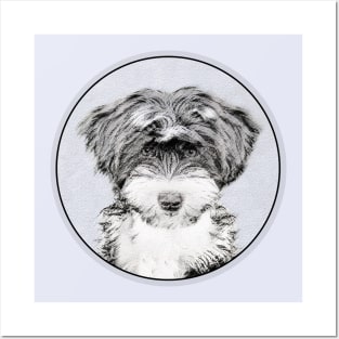 Tibetan Terrier Posters and Art